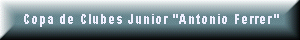 Copa de Clubes Junior